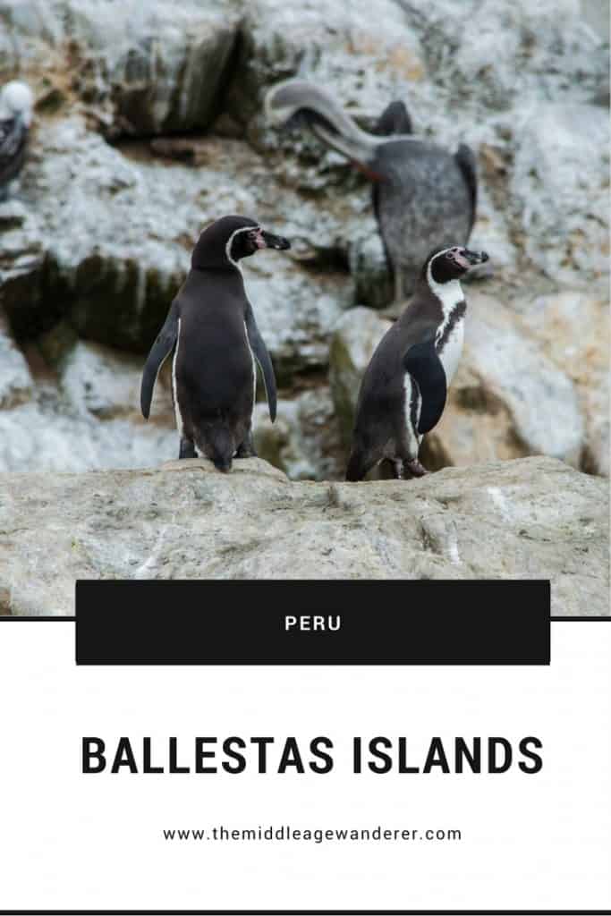 Ballestas Islands, Peru