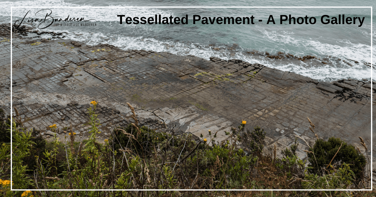 Tessellated-Pavement-A-Photo-Gallery