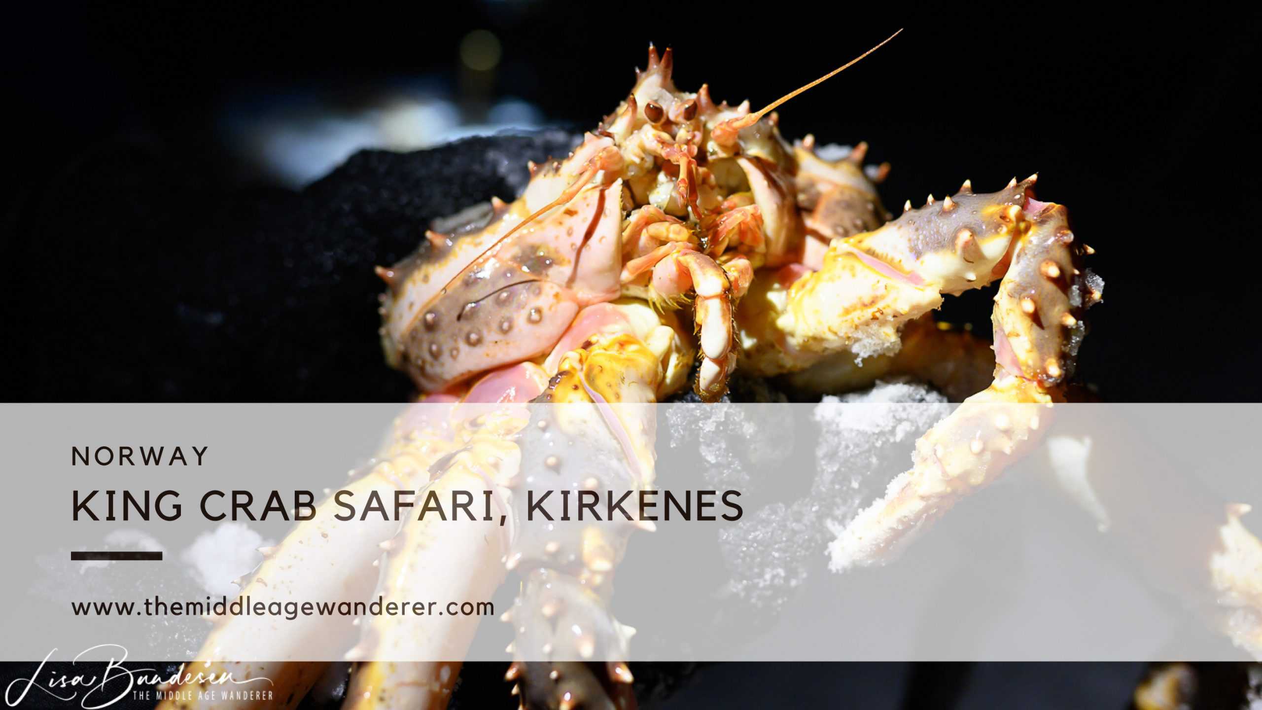 King Crab Safari - Everything You Wanted To Know About King Crab