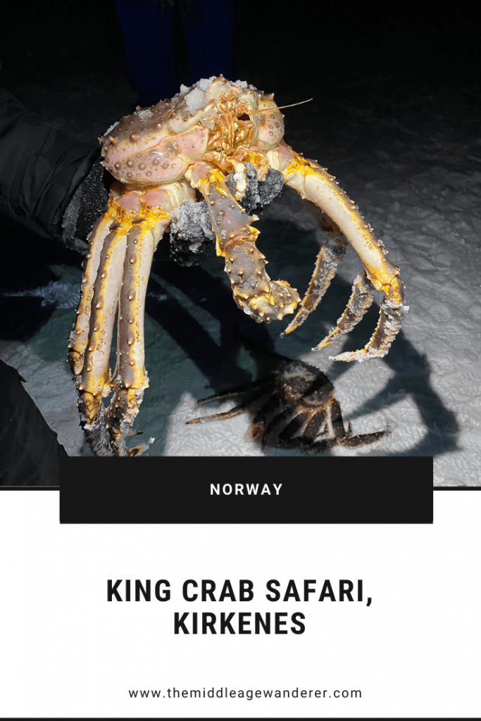 King Crab Safari, Kirkenes