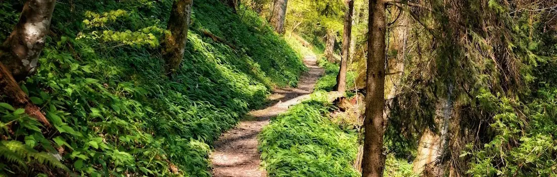 The Australian Walking Track Grading System