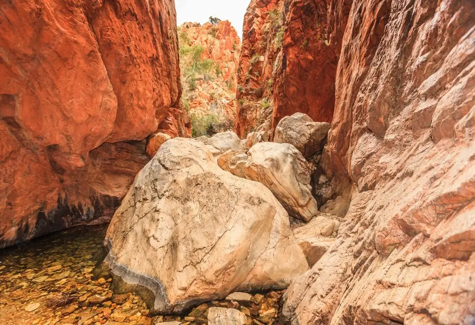 Larapinta Trail