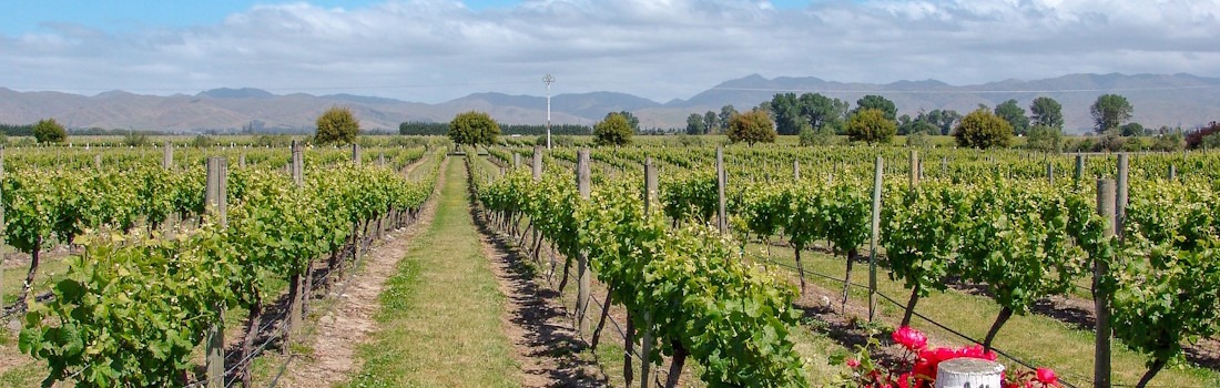 Australia's Must Visit Wine Regions