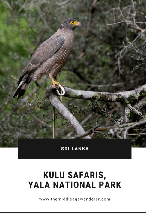 Kulu Safaris, Yala National Park