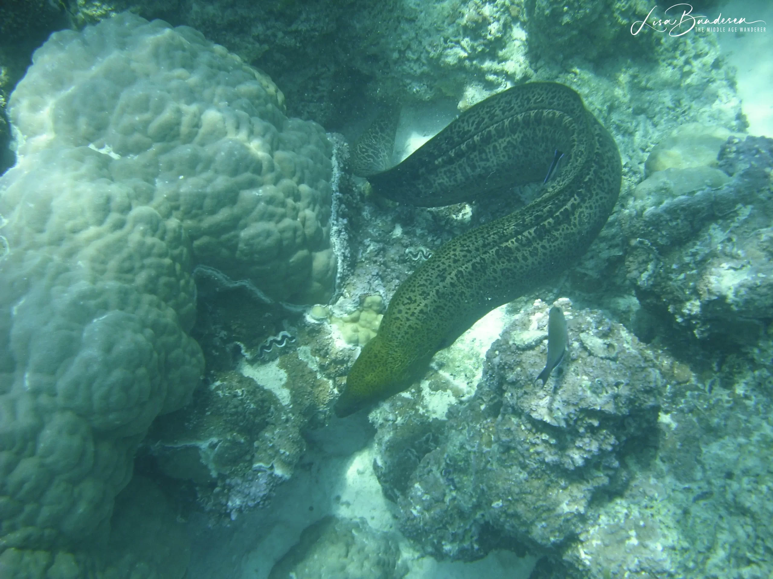 Snorkelling on Bora Bora