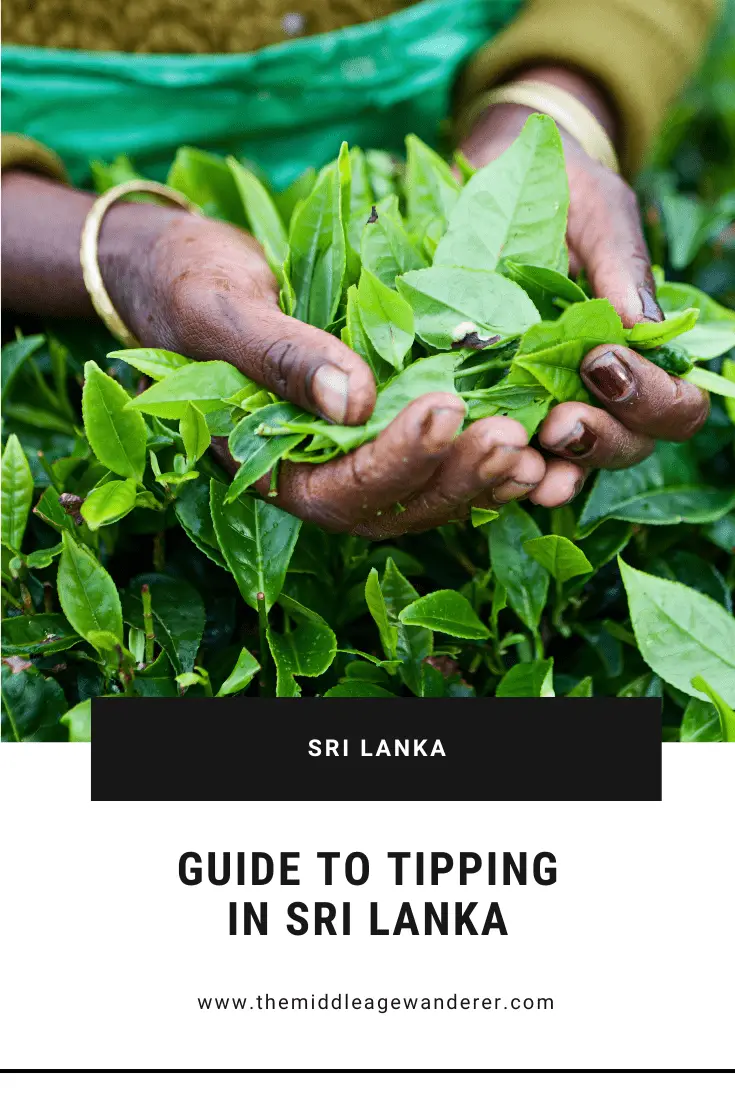 Guide to Tipping in Sri Lanka