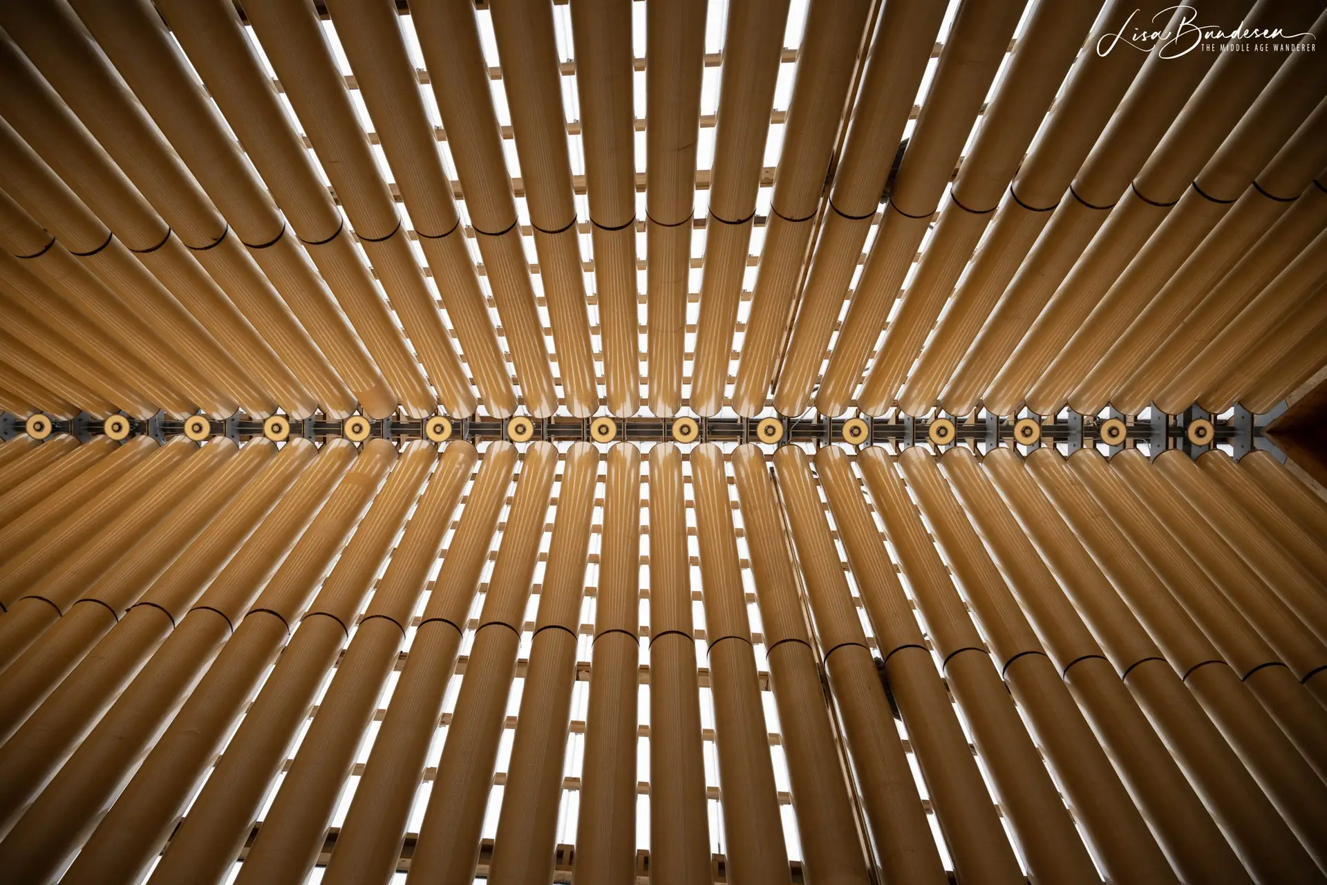 Christchurch Transitional Cathedral Ceiling