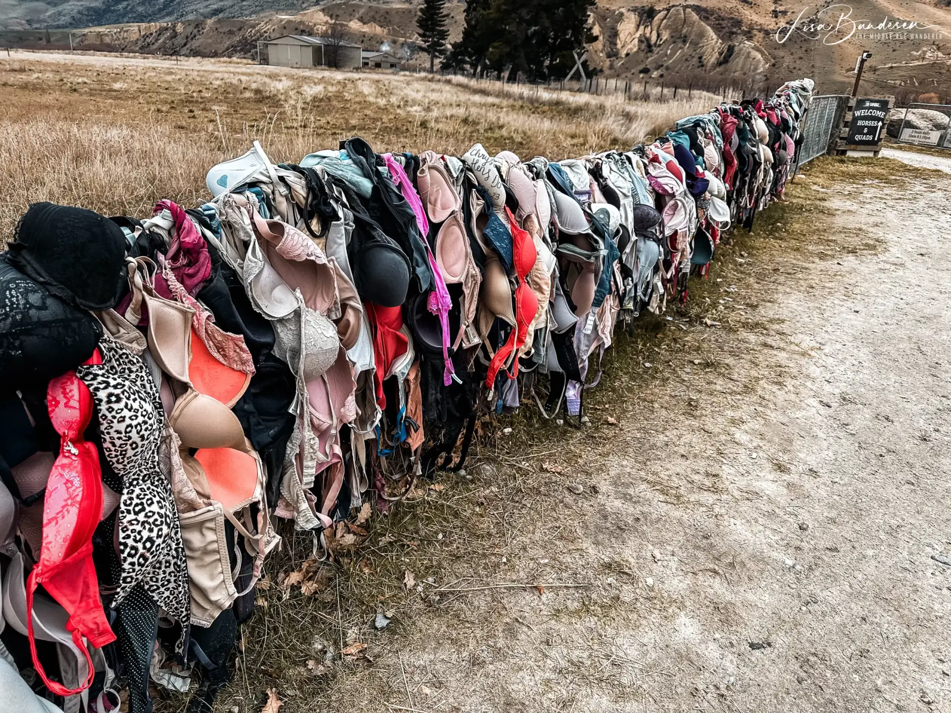 Bras on the fence