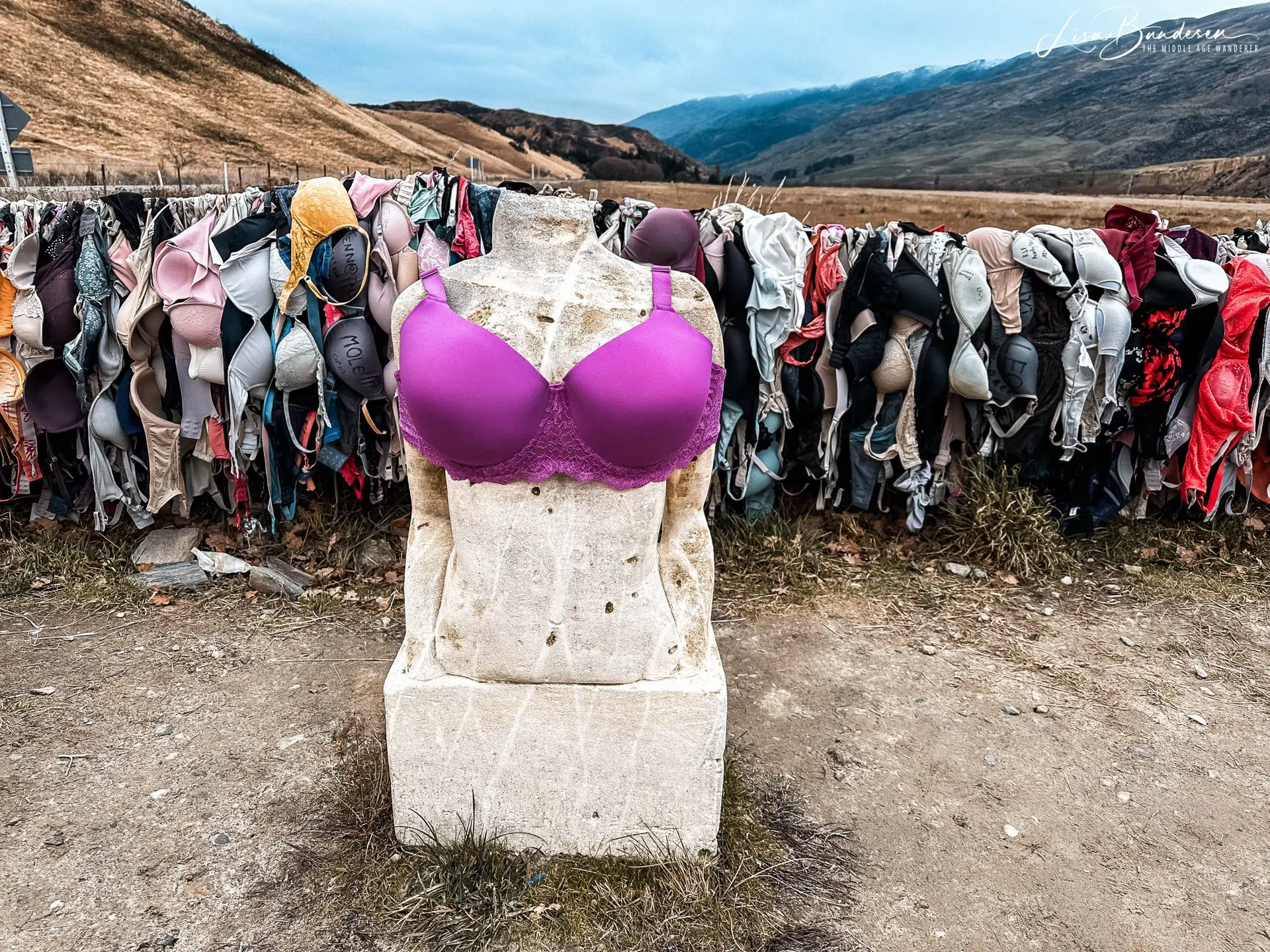 Cardrona Bra Fence