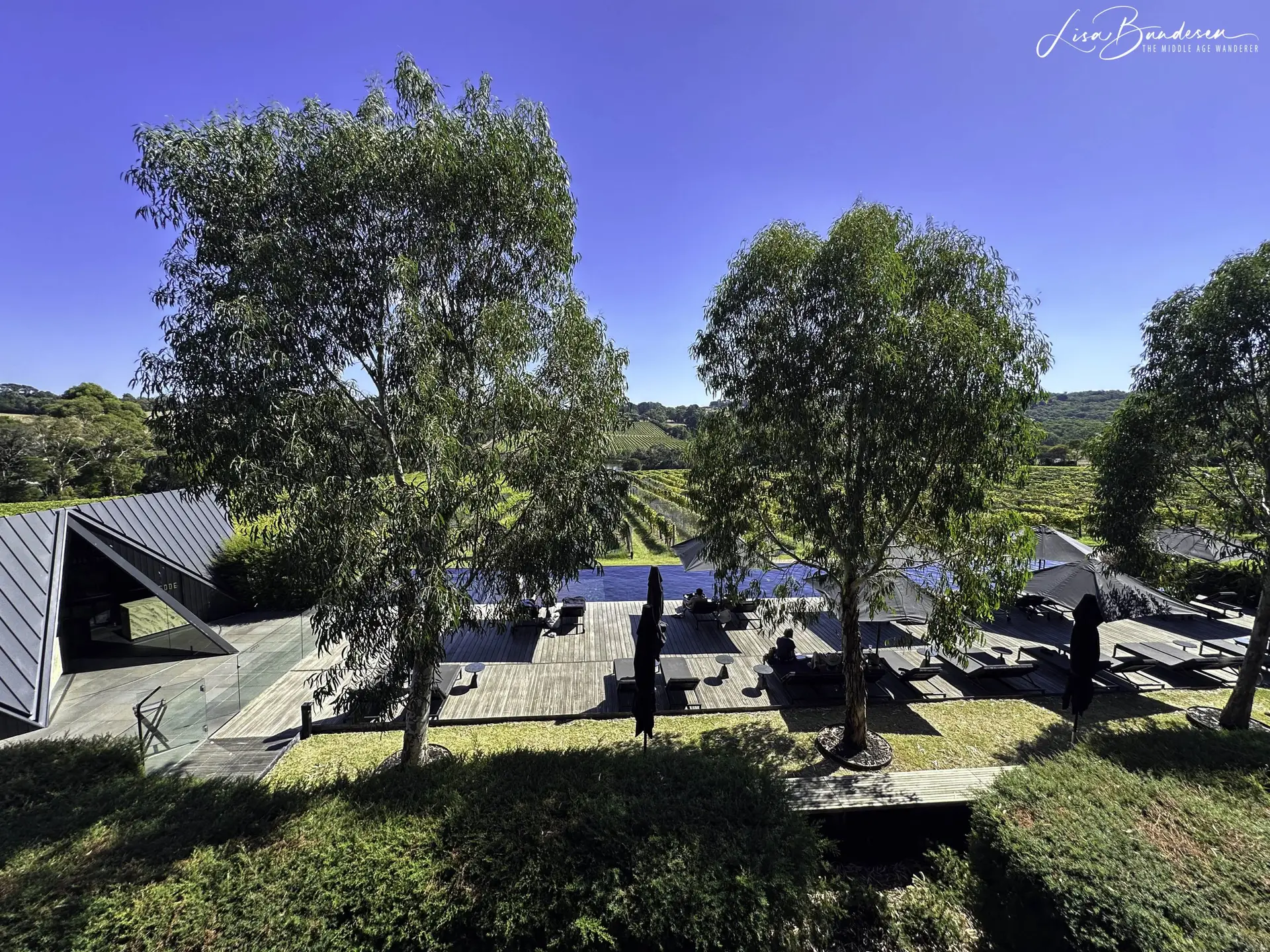 Pool and spa area overlooking the winery