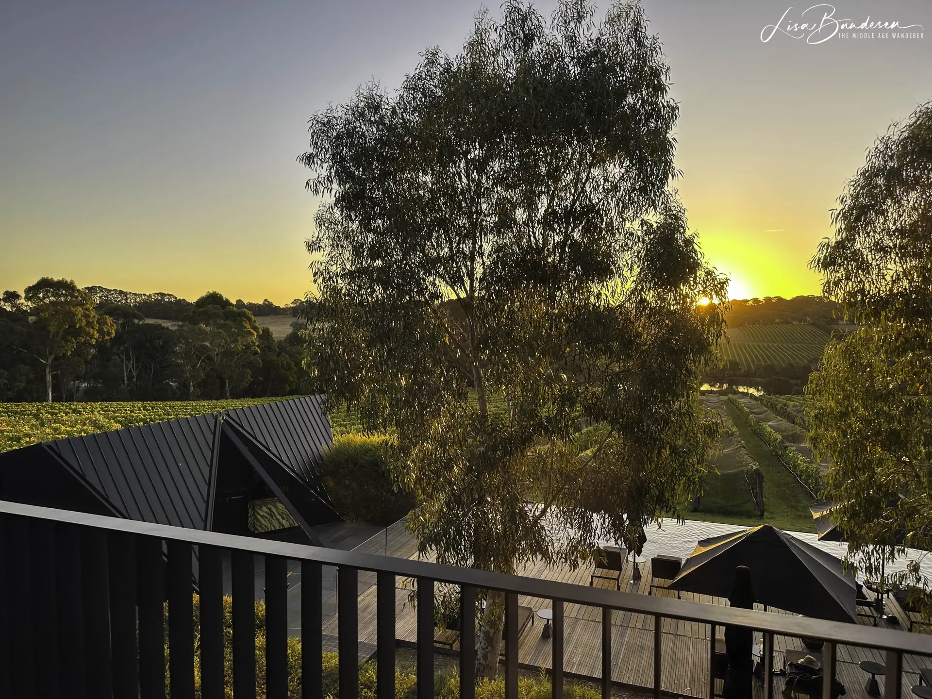 Sunset over the vineyard at Jackalope Hotel