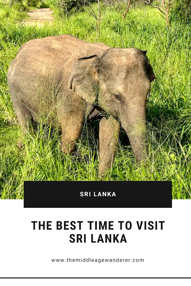 The Best Time to Visit Sri Lanka