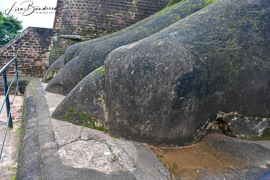 Lion Staircase Claws